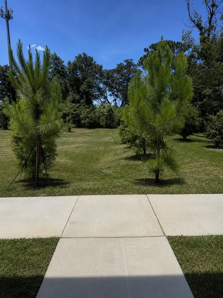 4347 Cambio Gardens Court Tampa FL 33610