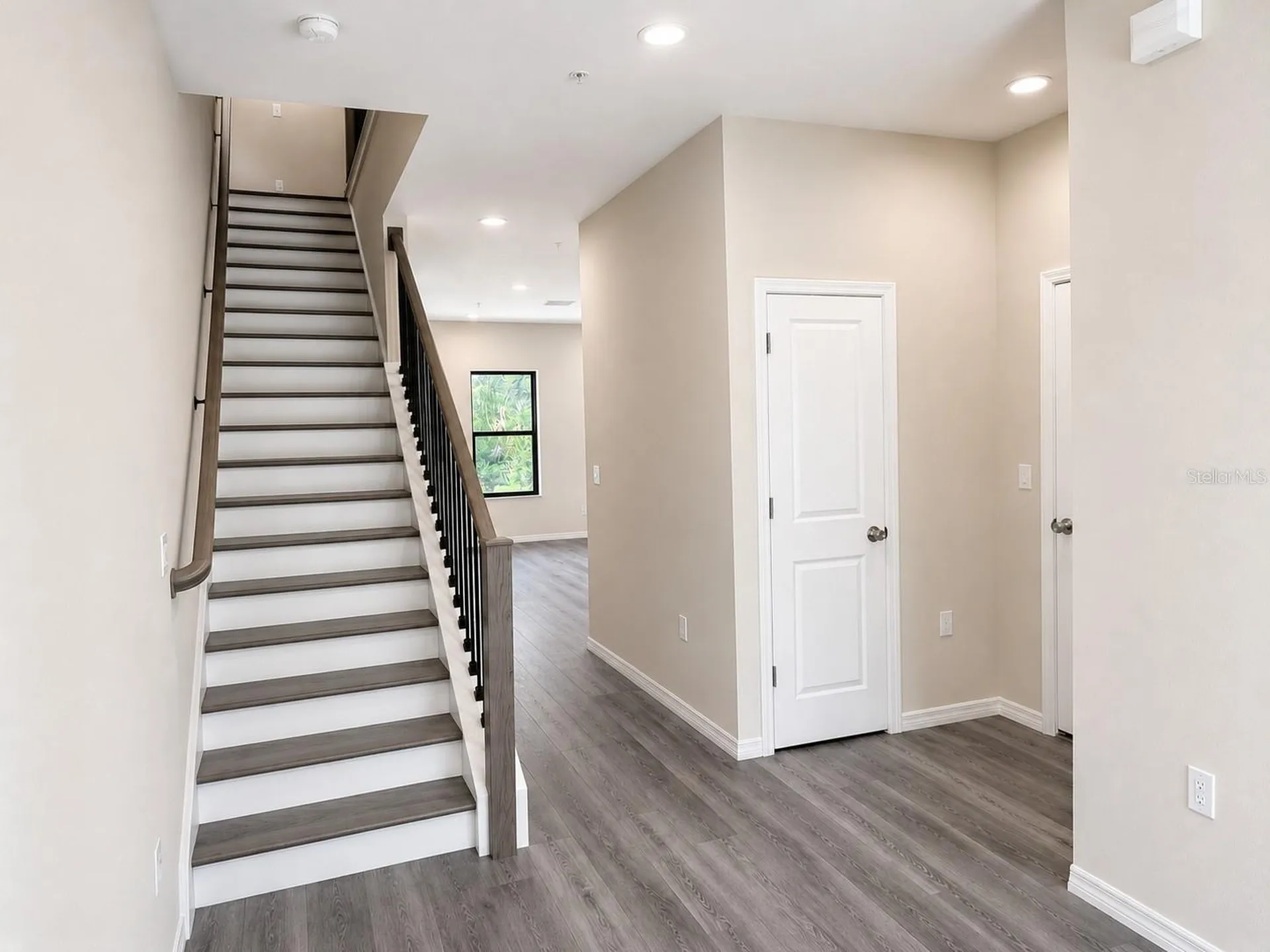 4347 Cambio Gardens Court Tampa FL 33610