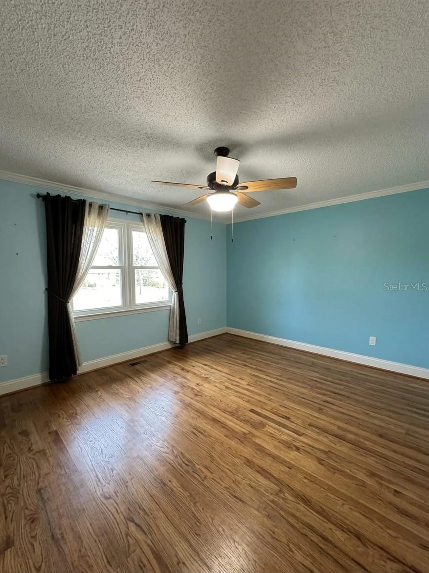 6648 Timbercove Lane New Port Richey FL 34653