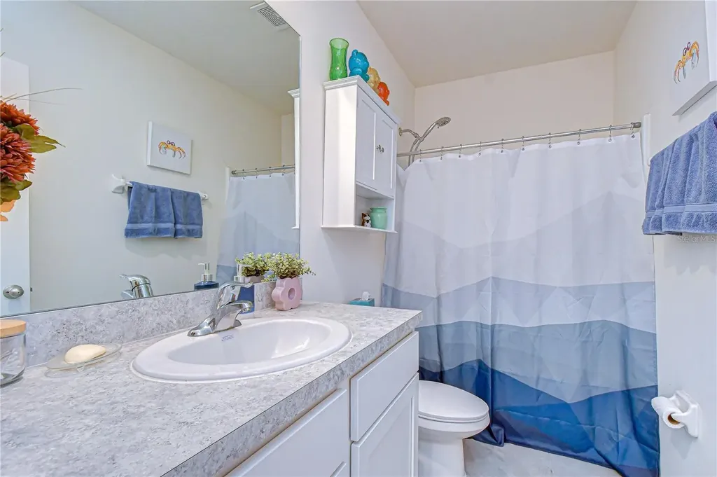 3143 Pleasant Willow Court Brandon FL 33511