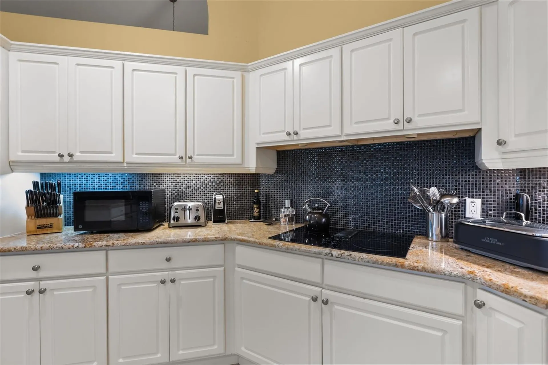 1521 Edgewater Drive Mount Dora FL 32757