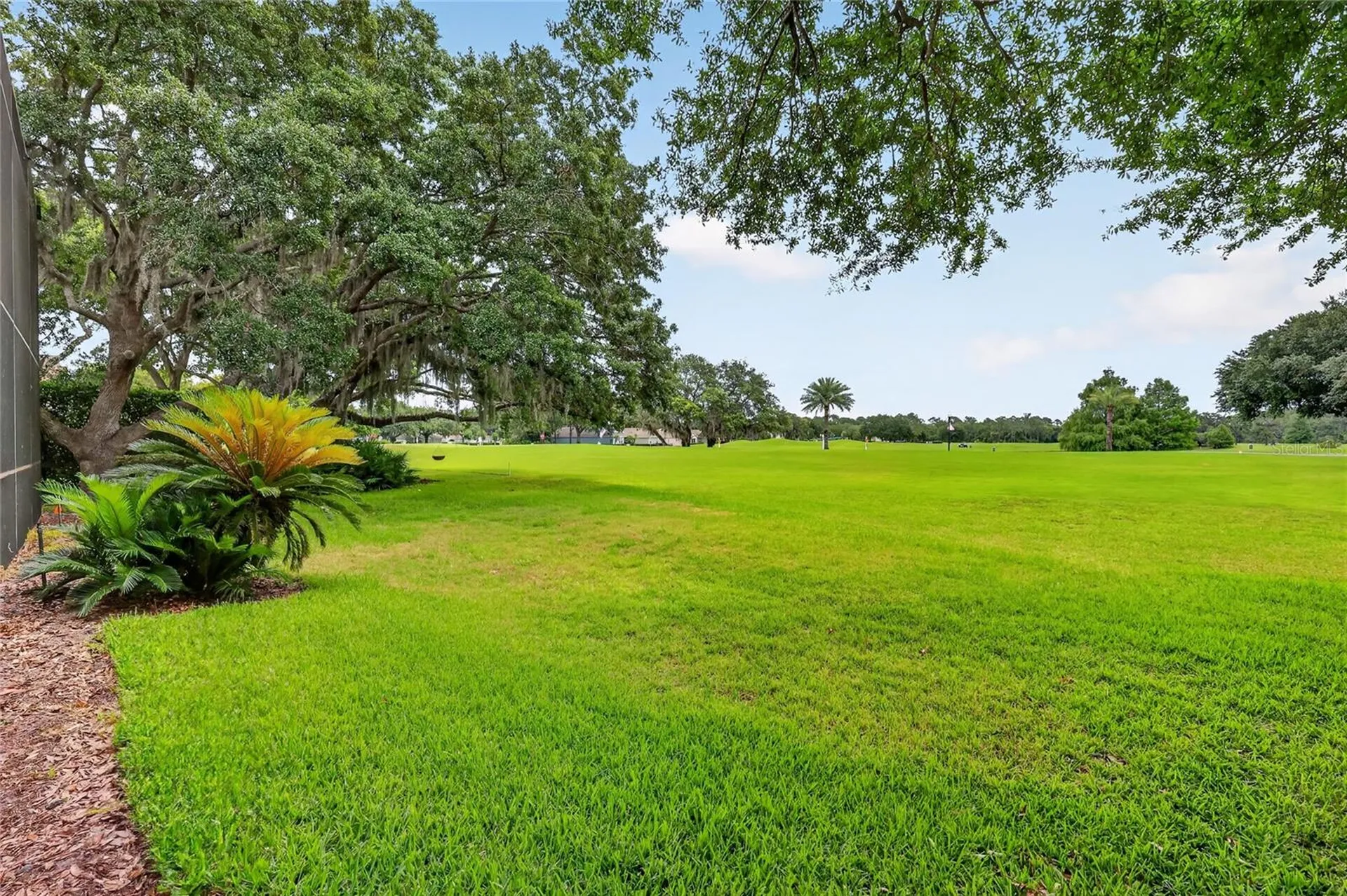1920 Edgewater Drive Mount Dora FL 32757