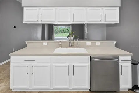 19305 Sea Mist Lane Lutz FL 33558
