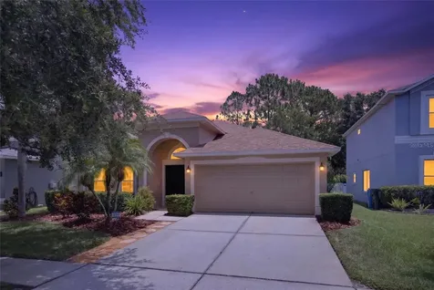 19305 Sea Mist Lane Lutz FL 33558