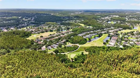 19305 Sea Mist Lane Lutz FL 33558