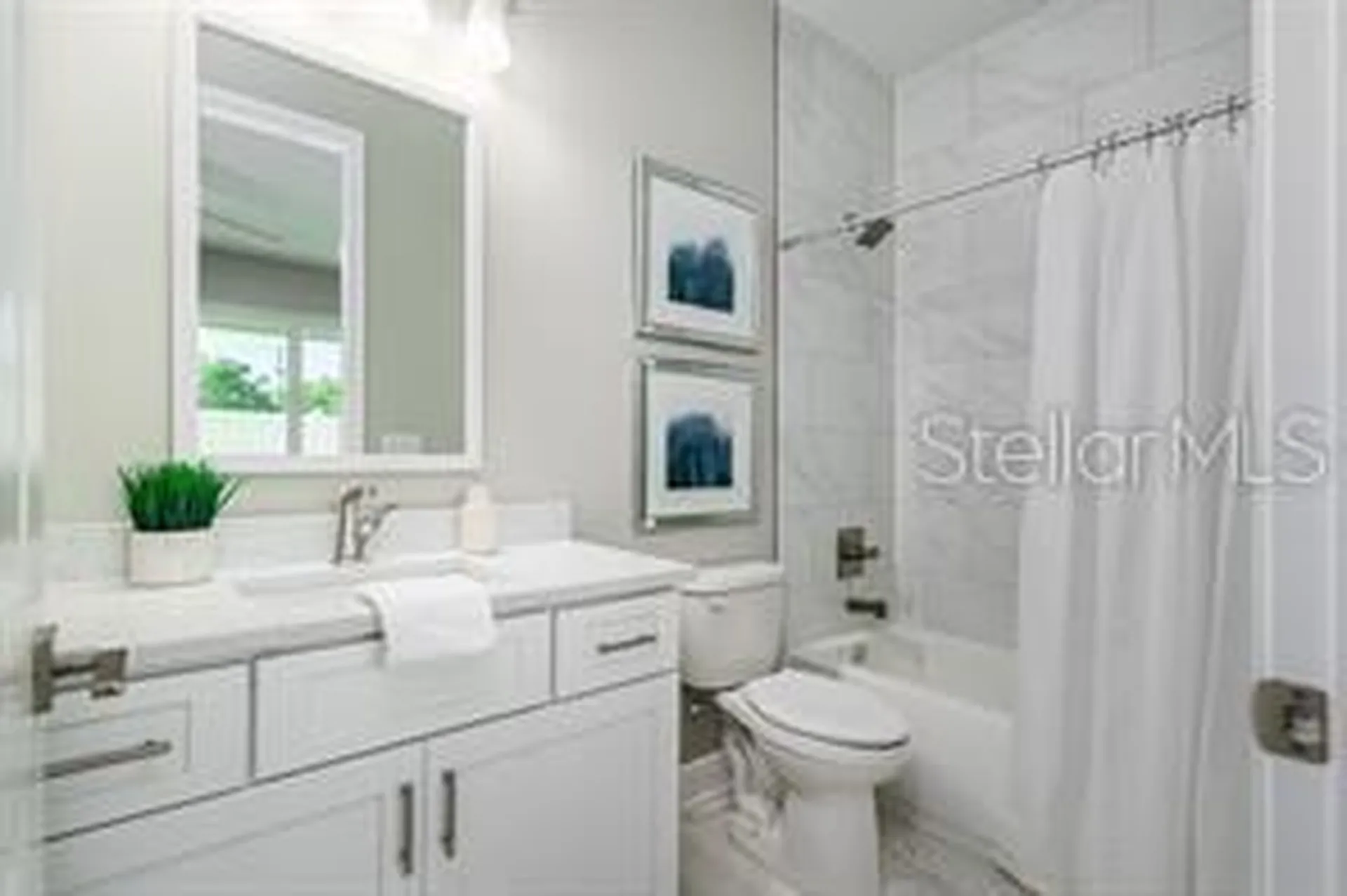 3844 Seena Manor Court Tampa FL 33618