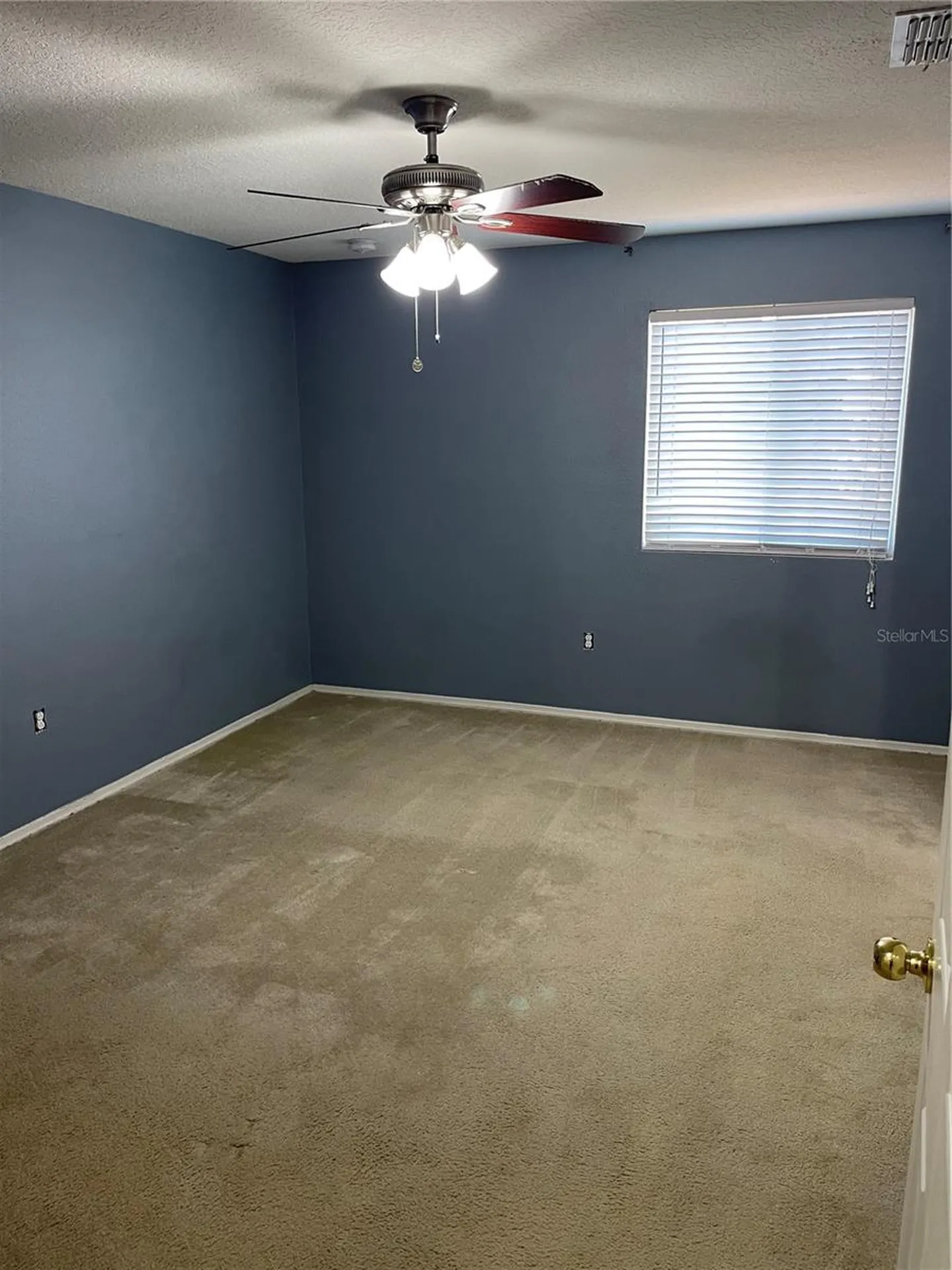 1017 Chalcedony Street Kissimmee FL 34744
