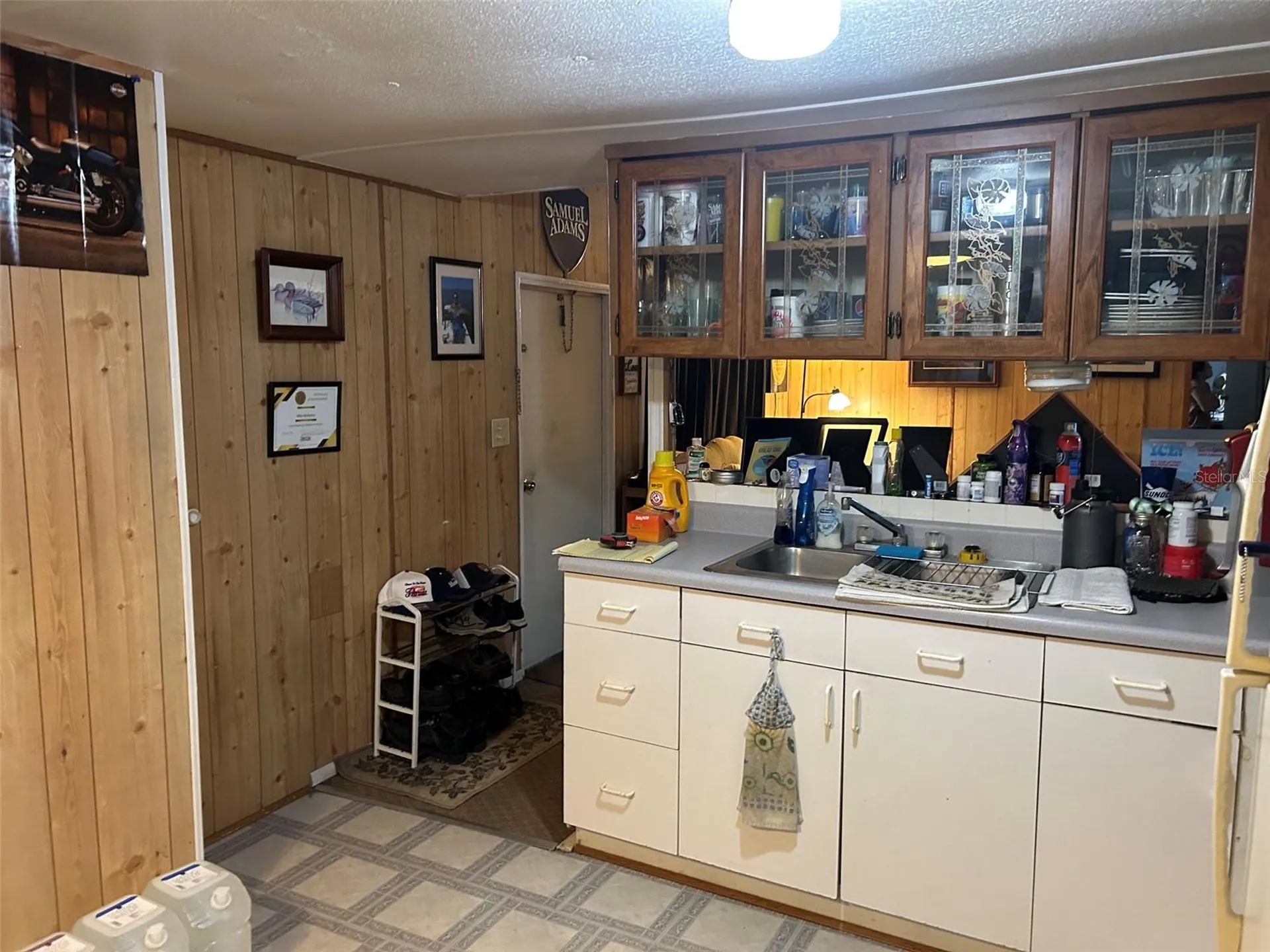 10945 SE 132nd Place Ocklawaha FL 32179