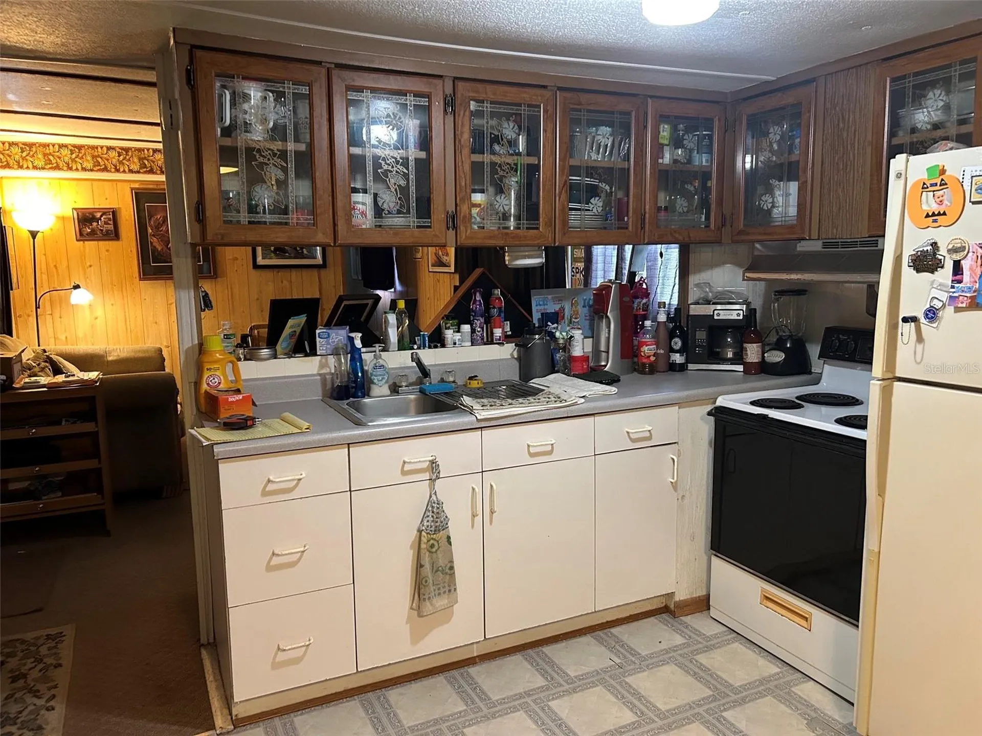 10945 SE 132nd Place Ocklawaha FL 32179
