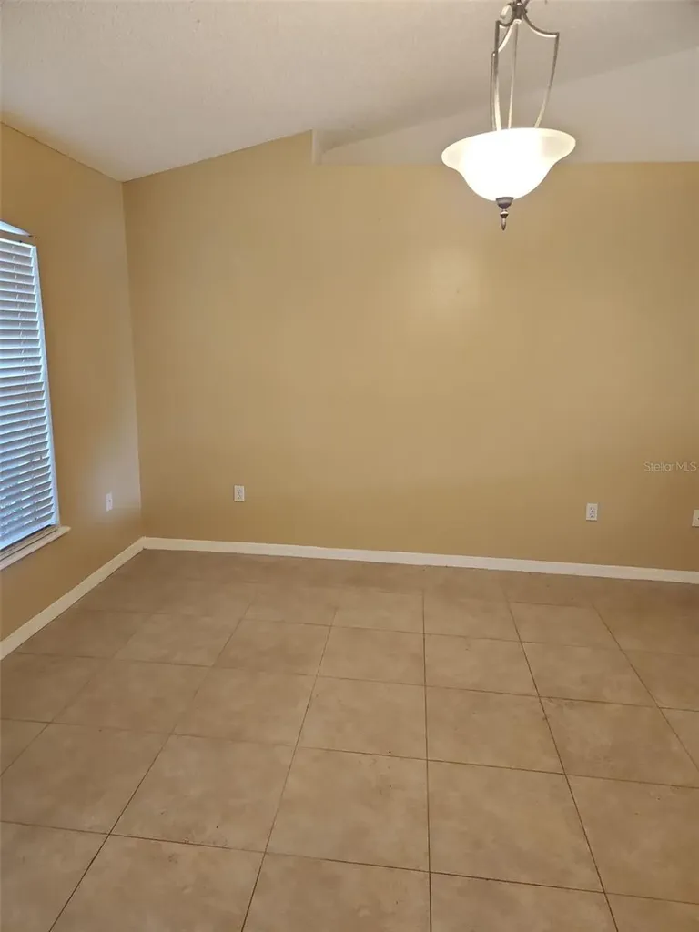 1411 S Mary Street Eustis FL 32726
