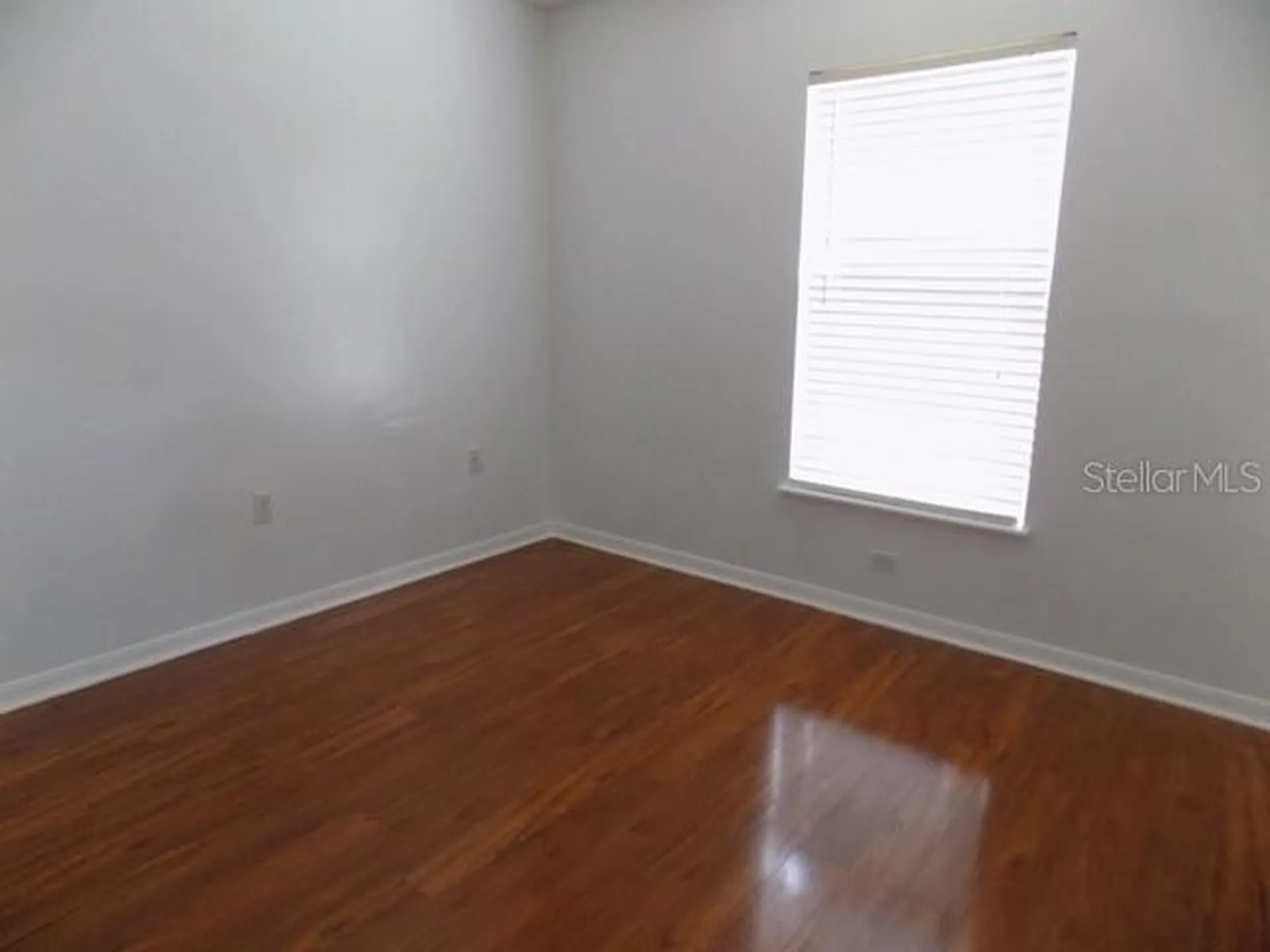 1411 S Mary Street Eustis FL 32726
