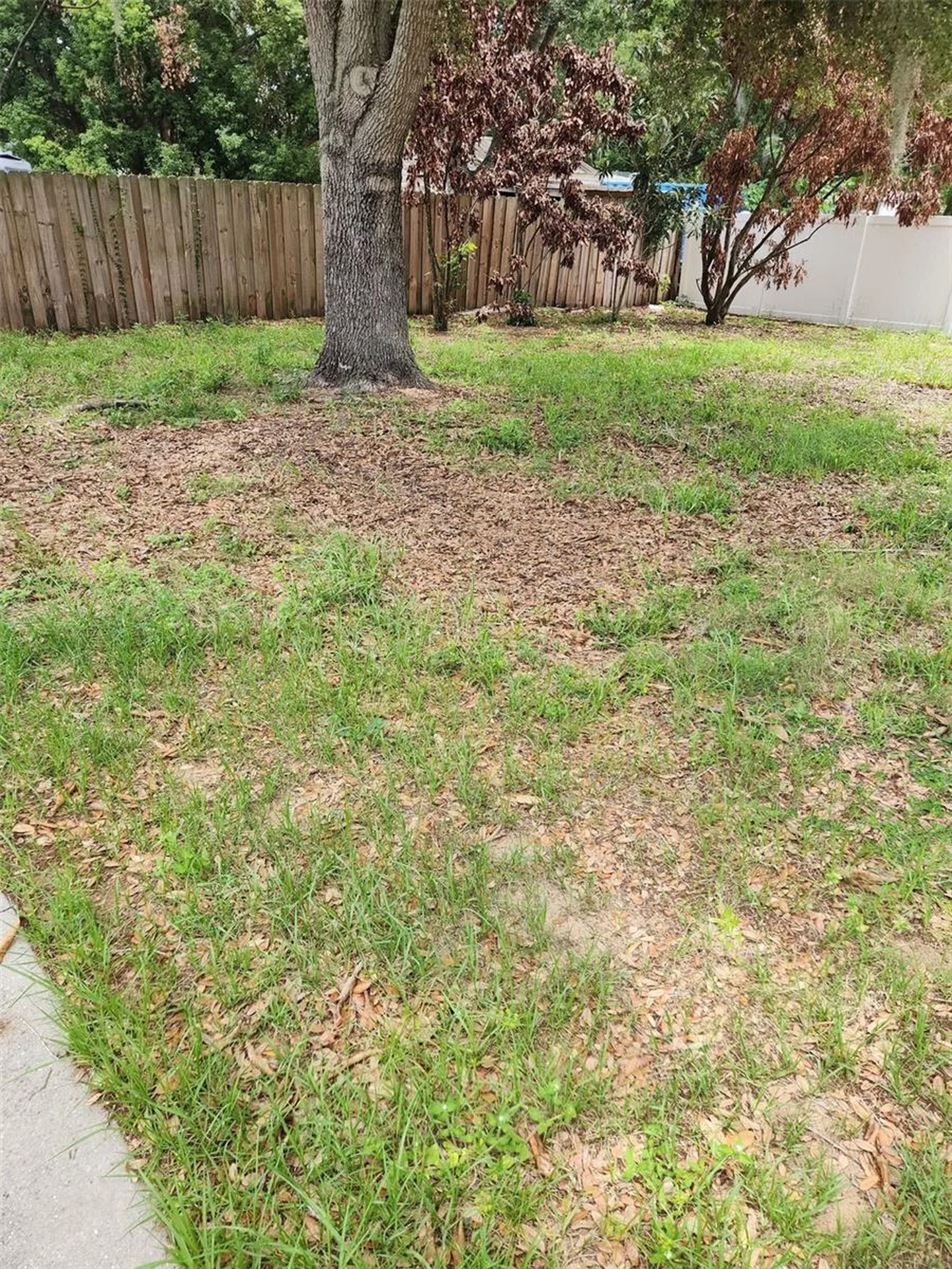 1411 S Mary Street Eustis FL 32726