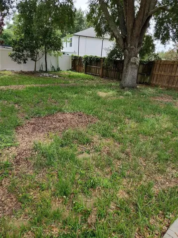 1411 S Mary Street Eustis FL 32726