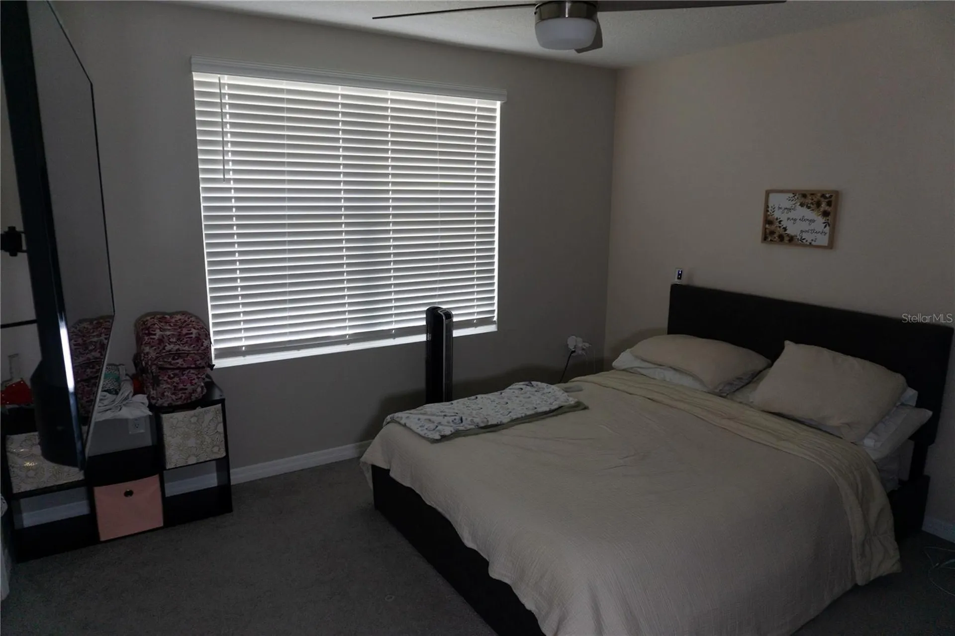 7819 Sail Clover Lane Zephyrhills FL 33540