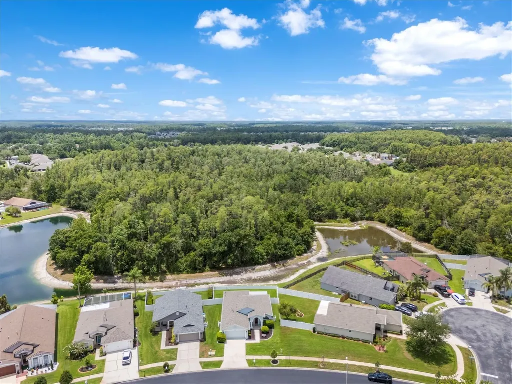 31328 Wrencrest Drive Wesley Chapel FL 33543