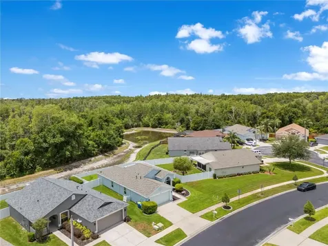31328 Wrencrest Drive Wesley Chapel FL 33543