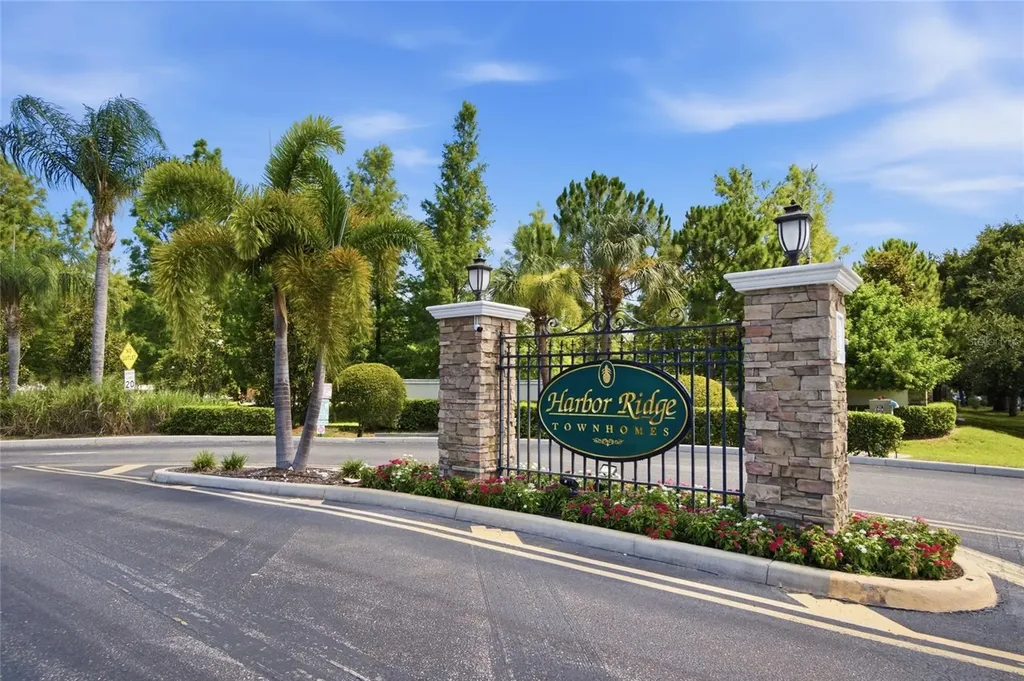 485 Harbor Ridge Drive Palm Harbor FL 34683