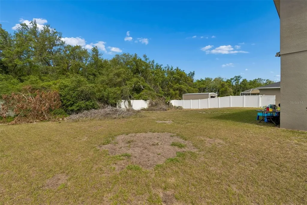 10620 Carloway Hills Drive Wimauma FL 33598