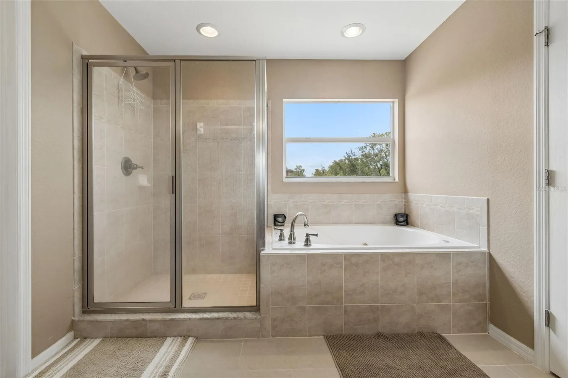 10620 Carloway Hills Drive Wimauma FL 33598
