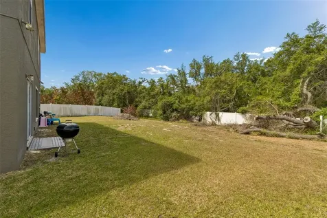 10620 Carloway Hills Drive Wimauma FL 33598