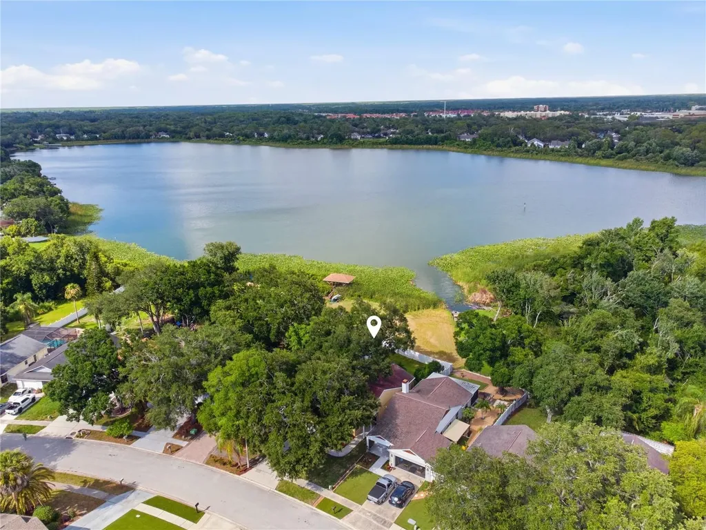 662 Bellingham Place Palm Harbor FL 34684