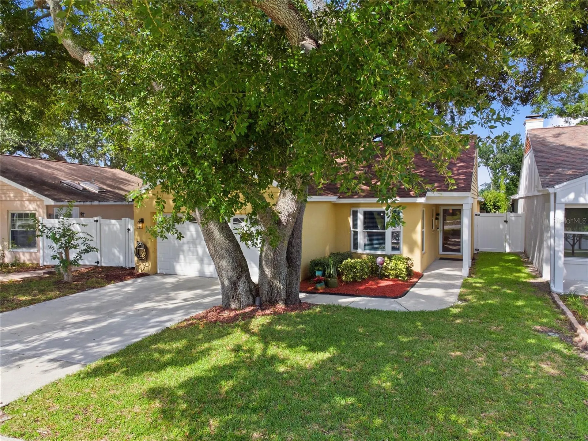 662 Bellingham Place Palm Harbor FL 34684