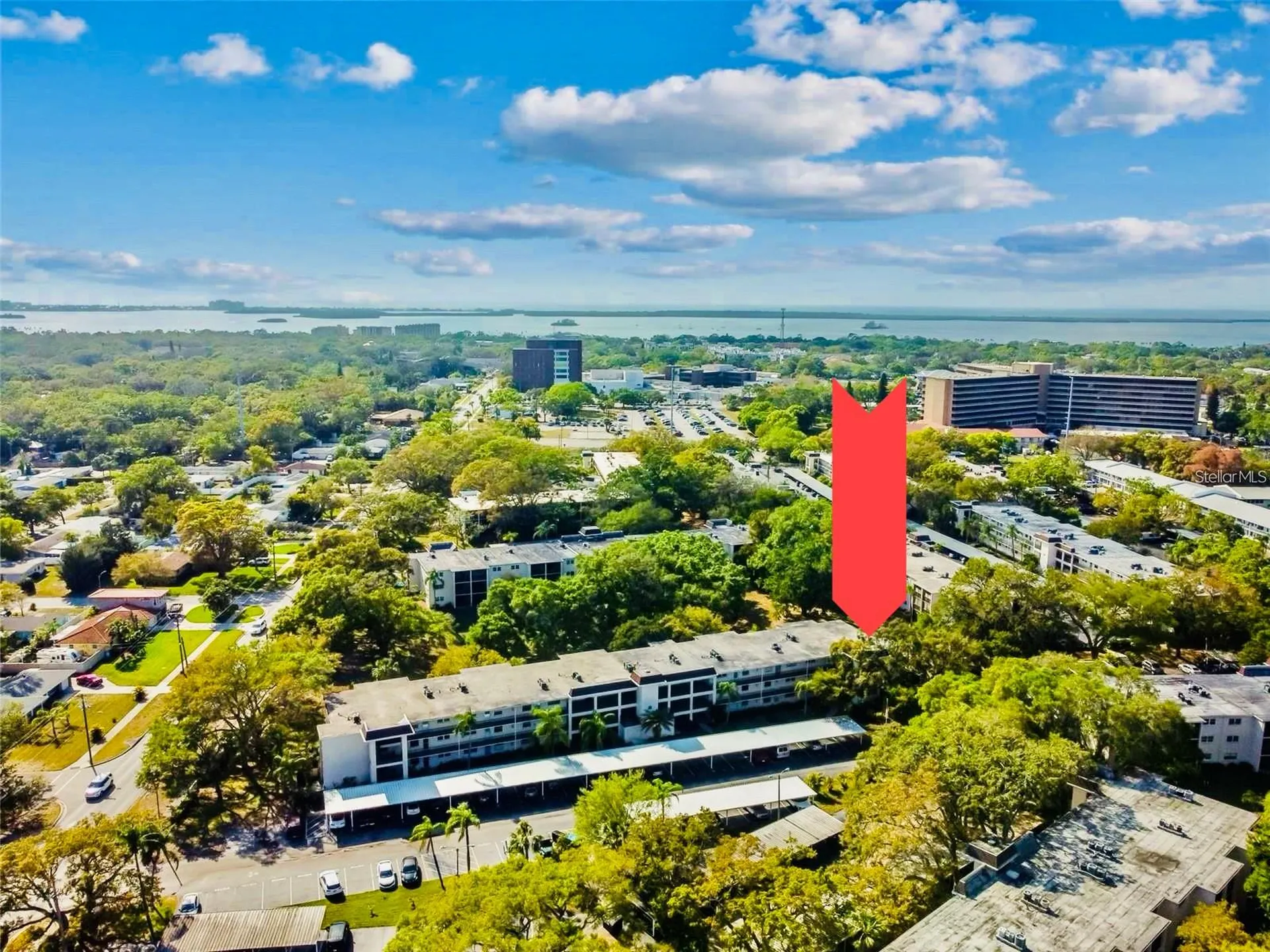 860 Virginia Street Dunedin FL 34698