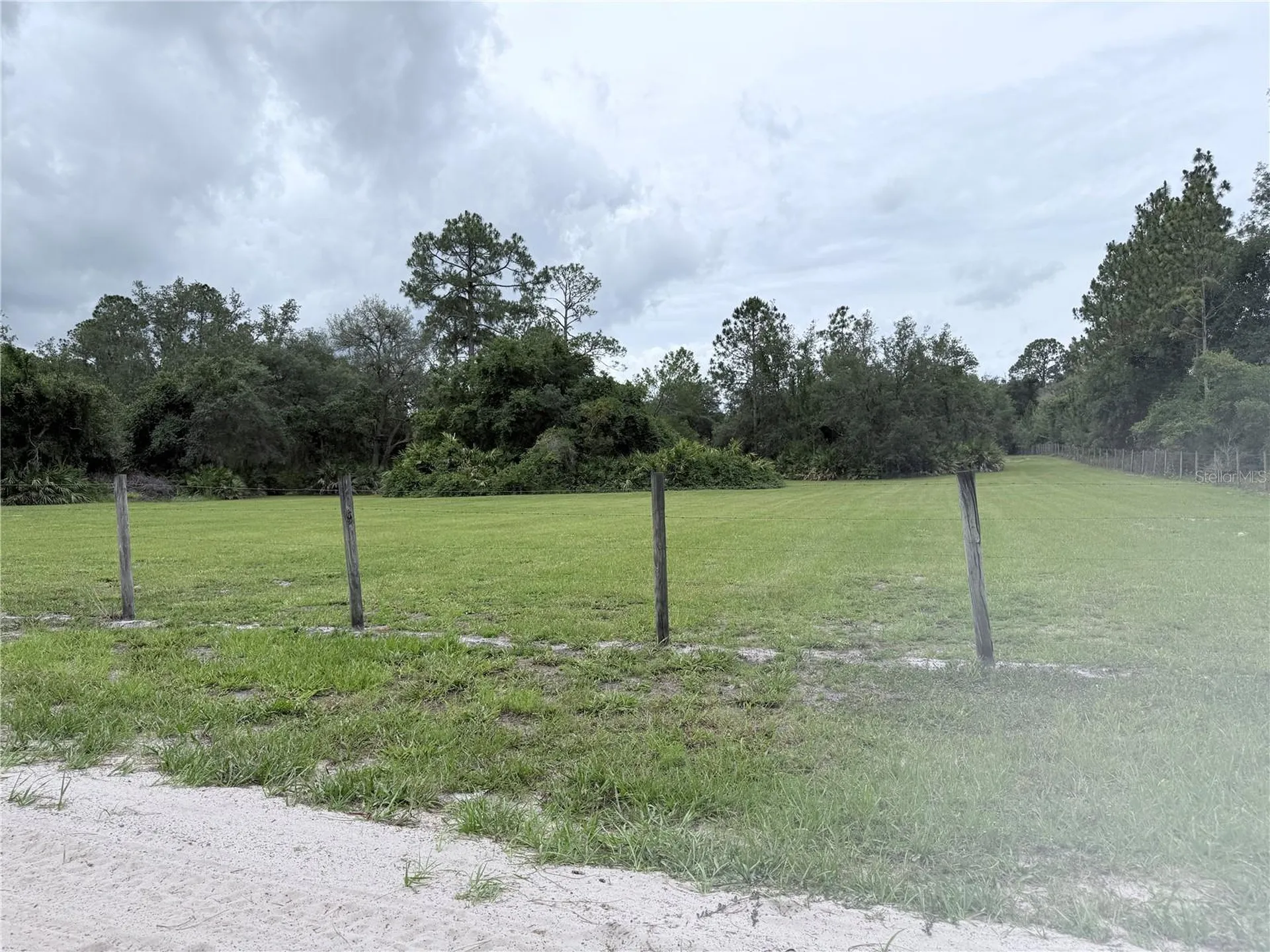 Lot 4 Red Oak Drive Eustis FL 32736