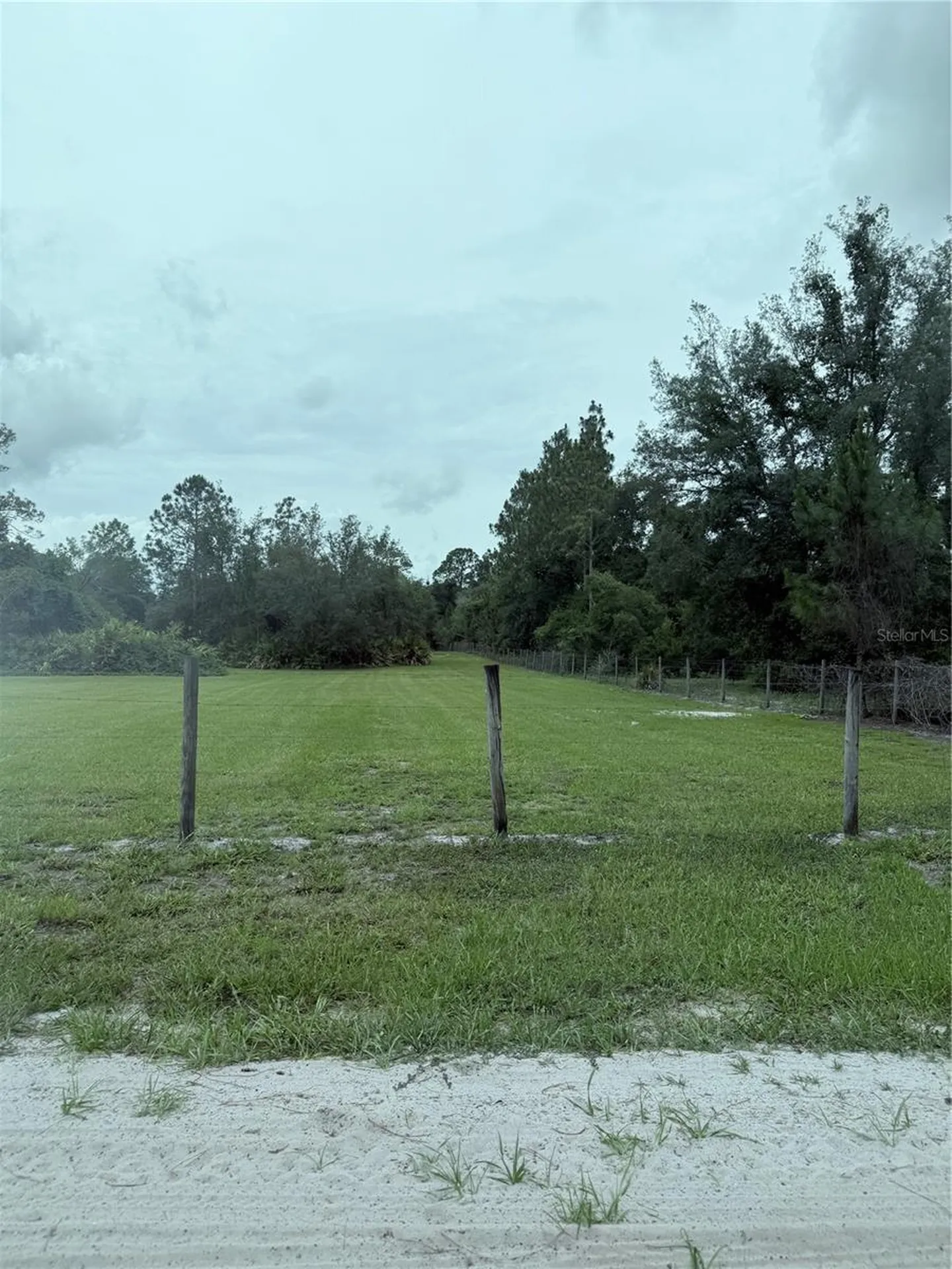 Lot 4 Red Oak Drive Eustis FL 32736