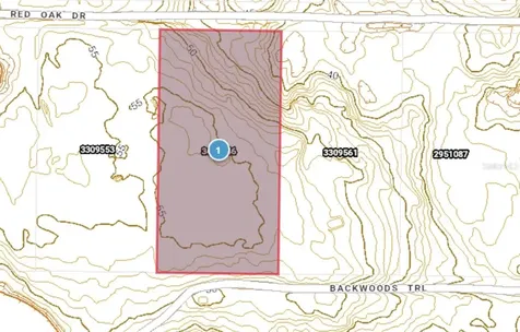 Lot 4 Red Oak Drive Eustis FL 32736