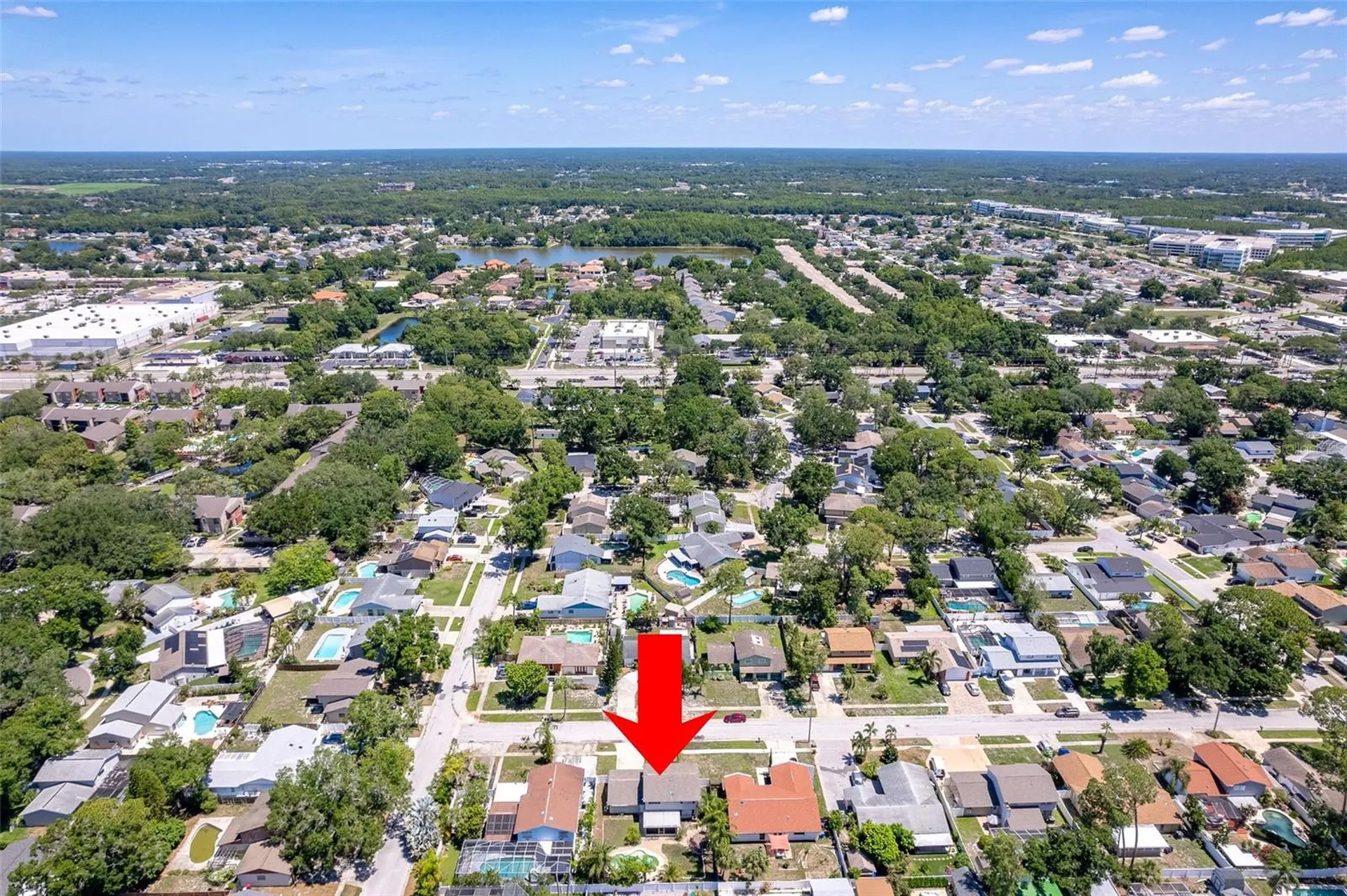 7014 Edenbrook Court Tampa FL 33634
