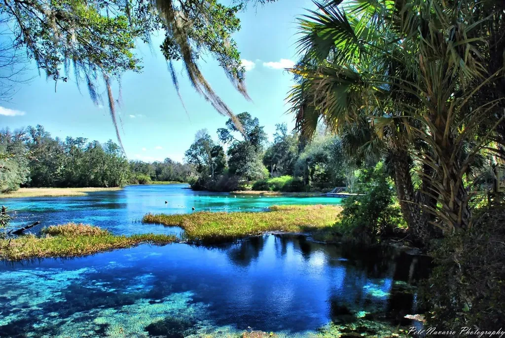 699 W Hallam Dunnellon FL 34434