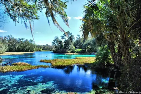 699 W Hallam Dunnellon FL 34434