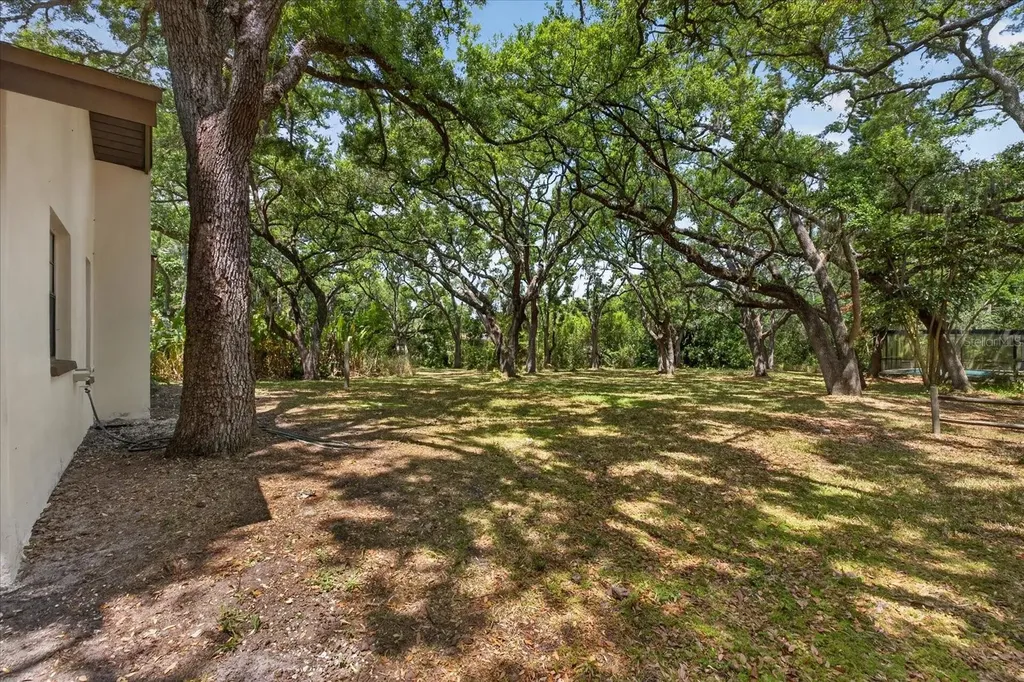 56 Bay Woods Drive Safety Harbor FL 34695