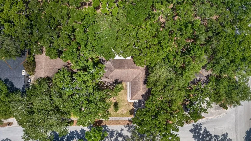 56 Bay Woods Drive Safety Harbor FL 34695