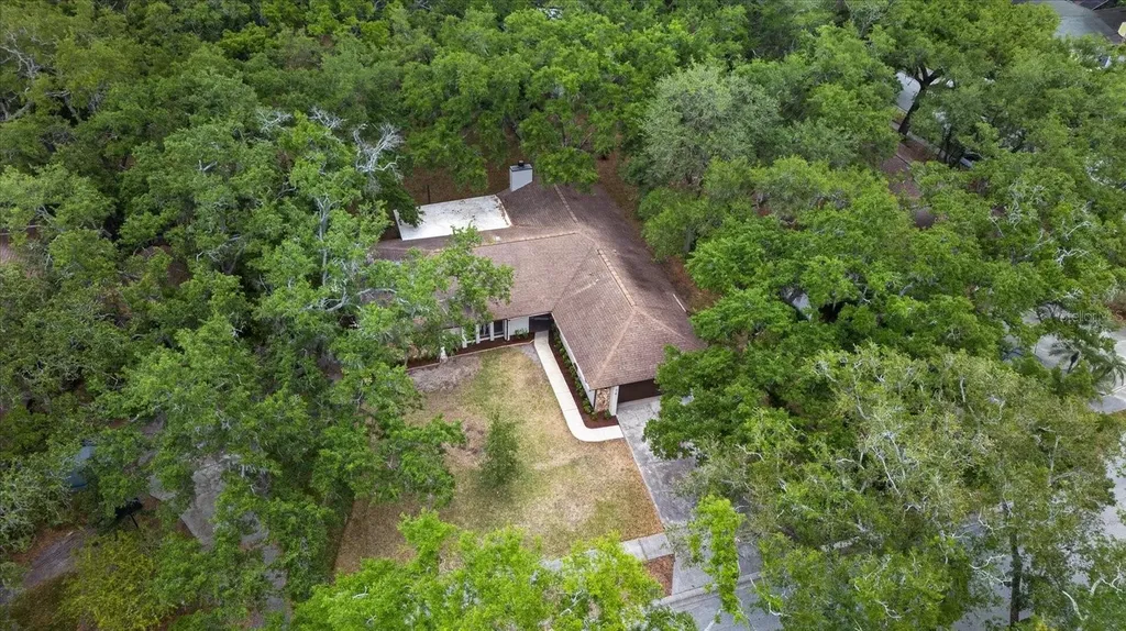 56 Bay Woods Drive Safety Harbor FL 34695