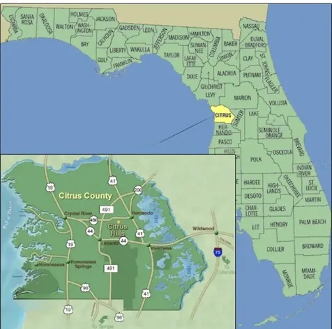 671 W Hallam Drive Dunnellon FL 34434