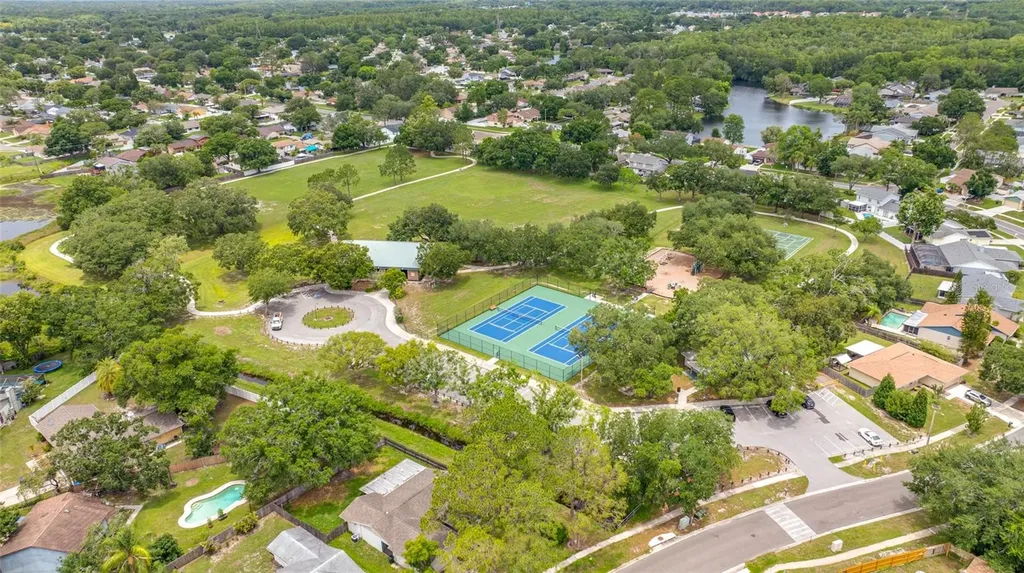 15816 Hound Horn Lane Tampa FL 33624