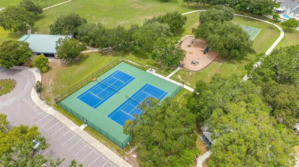 15816 Hound Horn Lane Tampa FL 33624