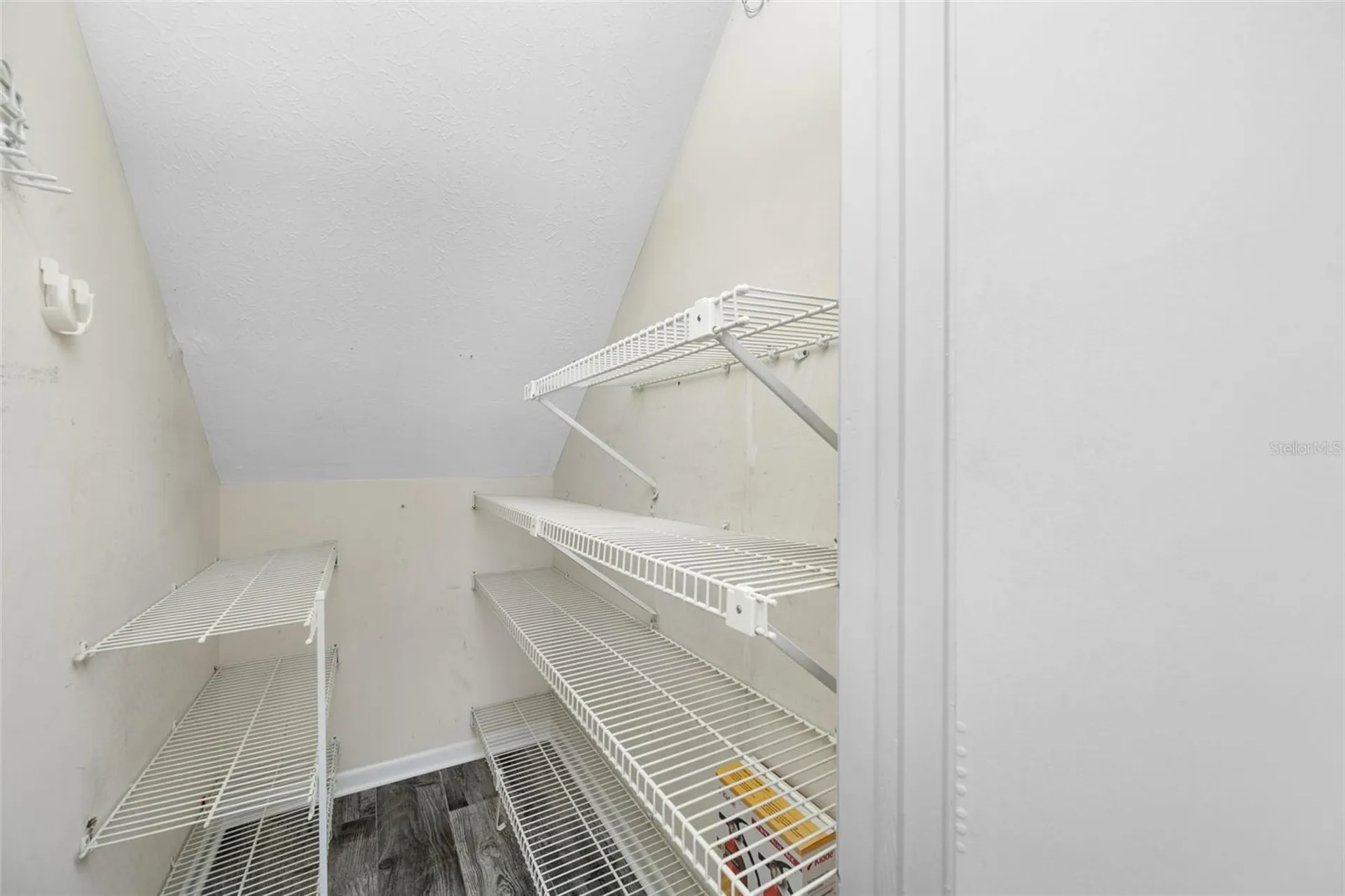 15816 Hound Horn Lane Tampa FL 33624
