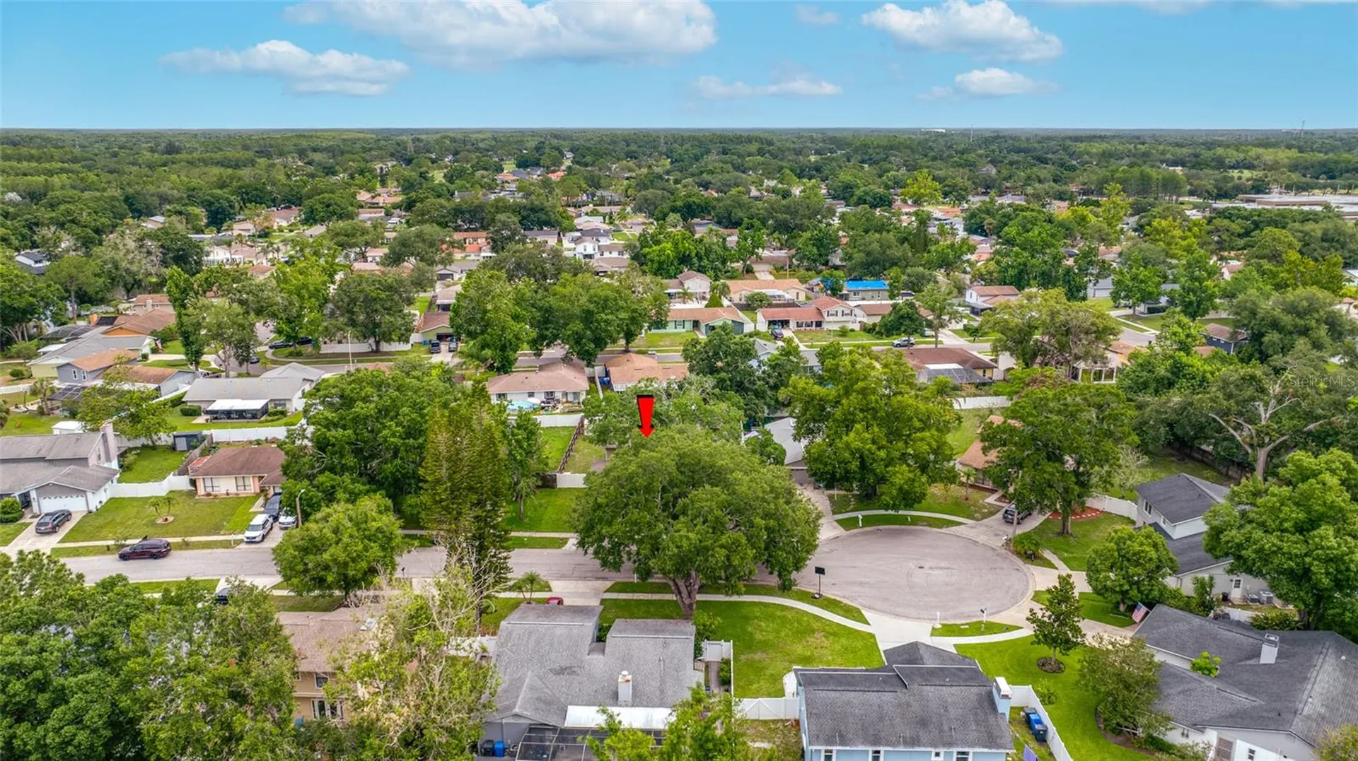 15816 Hound Horn Lane Tampa FL 33624