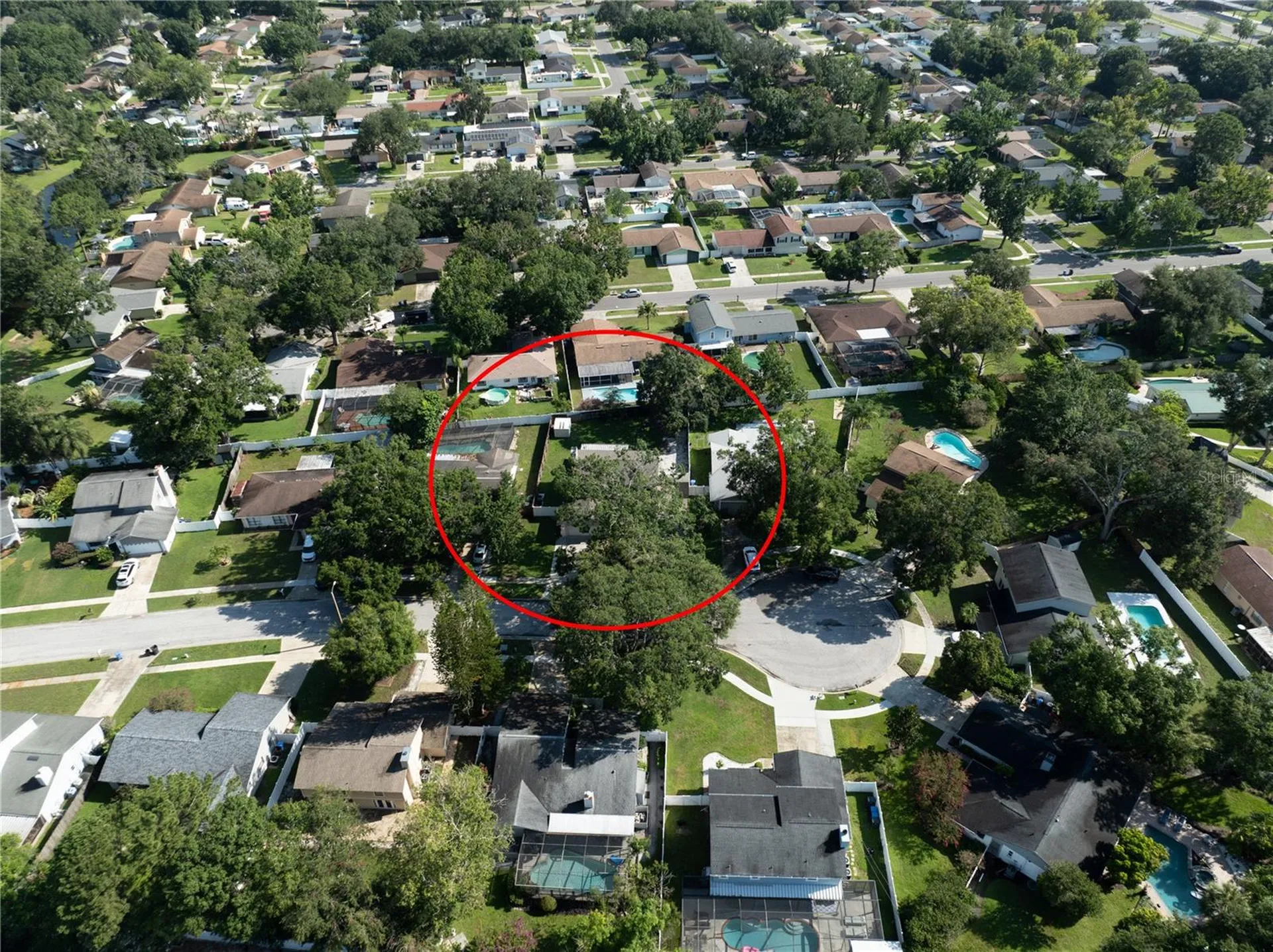 15816 Hound Horn Lane Tampa FL 33624