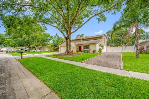 15816 Hound Horn Lane Tampa FL 33624