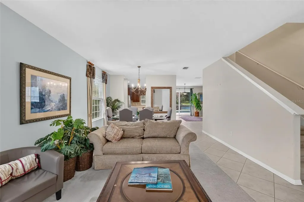 19128 Meadow Pine Drive Tampa FL 33647