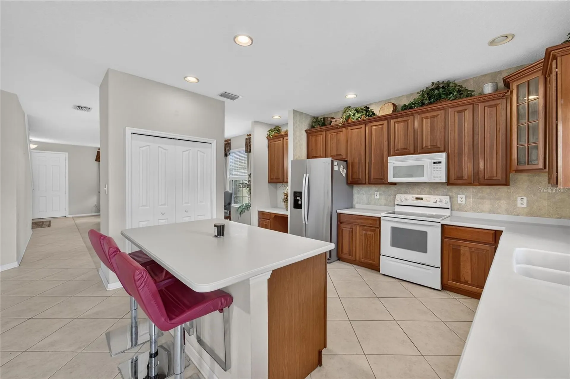 19128 Meadow Pine Drive Tampa FL 33647
