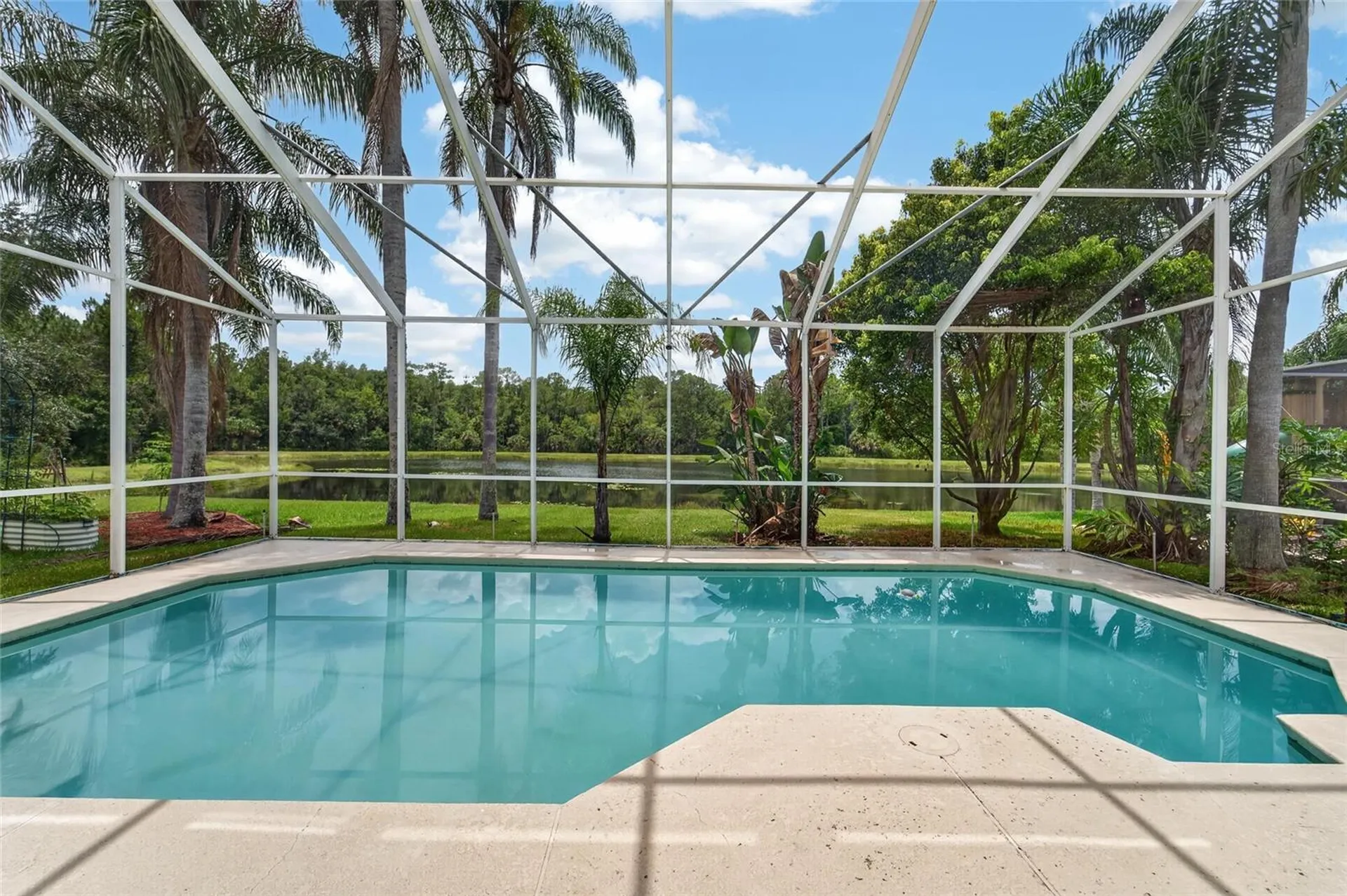 19128 Meadow Pine Drive Tampa FL 33647