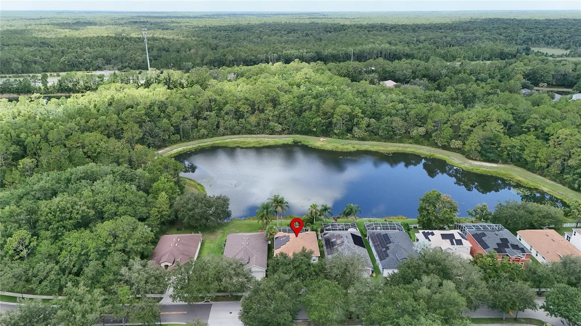 19128 Meadow Pine Drive Tampa FL 33647