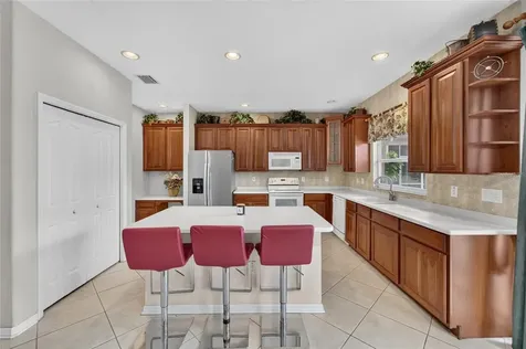 19128 Meadow Pine Drive Tampa FL 33647