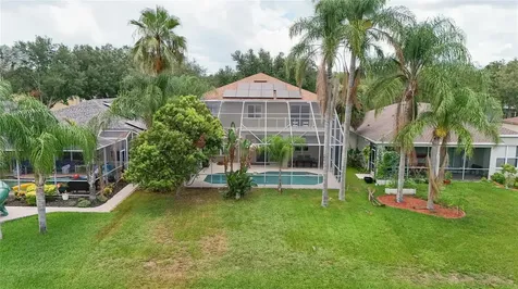 19128 Meadow Pine Drive Tampa FL 33647