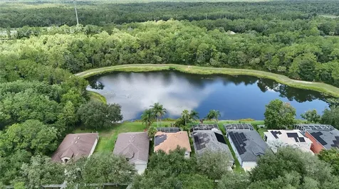 19128 Meadow Pine Drive Tampa FL 33647